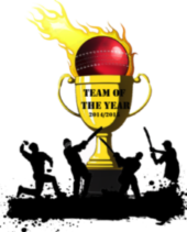 team of the year trophy