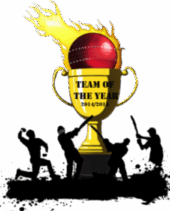 team of the year trophy